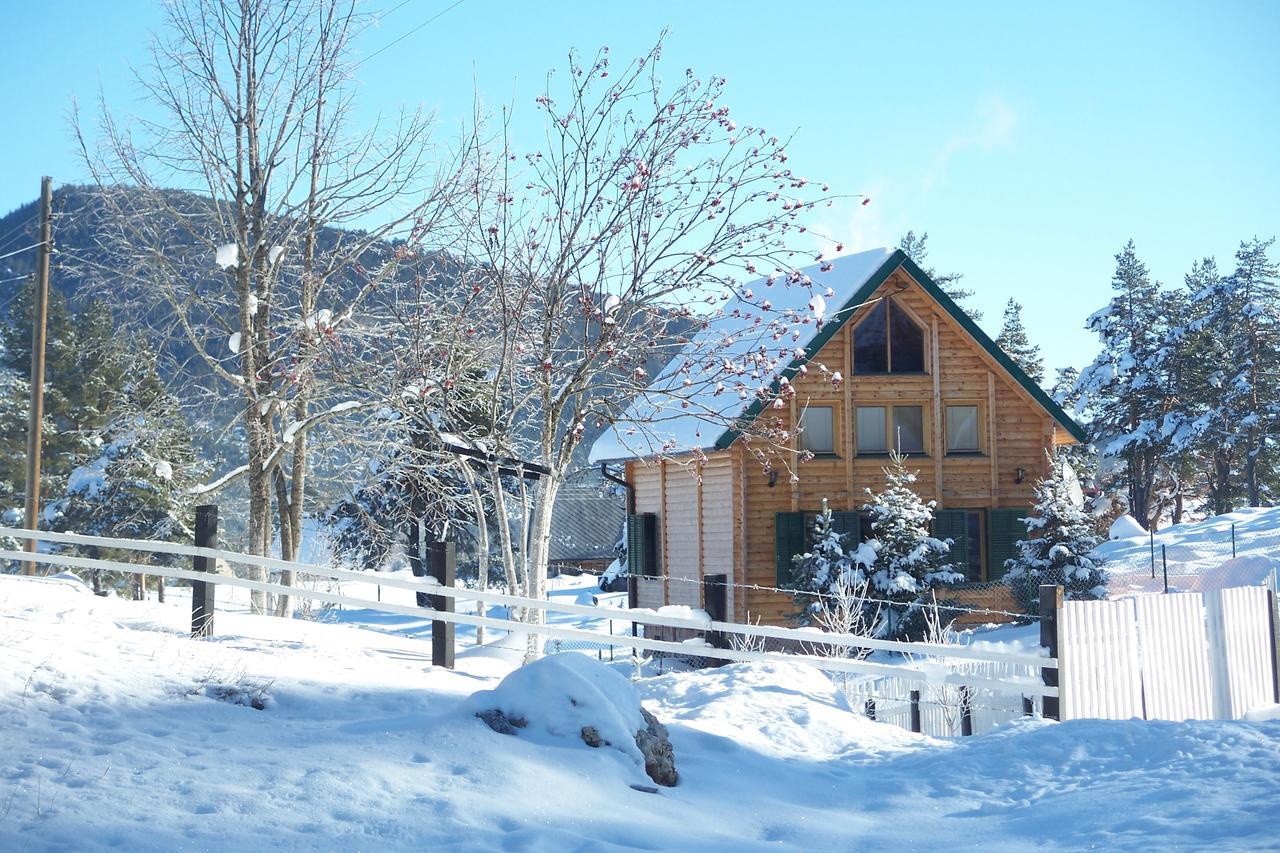Kuca U Borju - House In Pines Apartment ชาเบลียค ภายนอก รูปภาพ