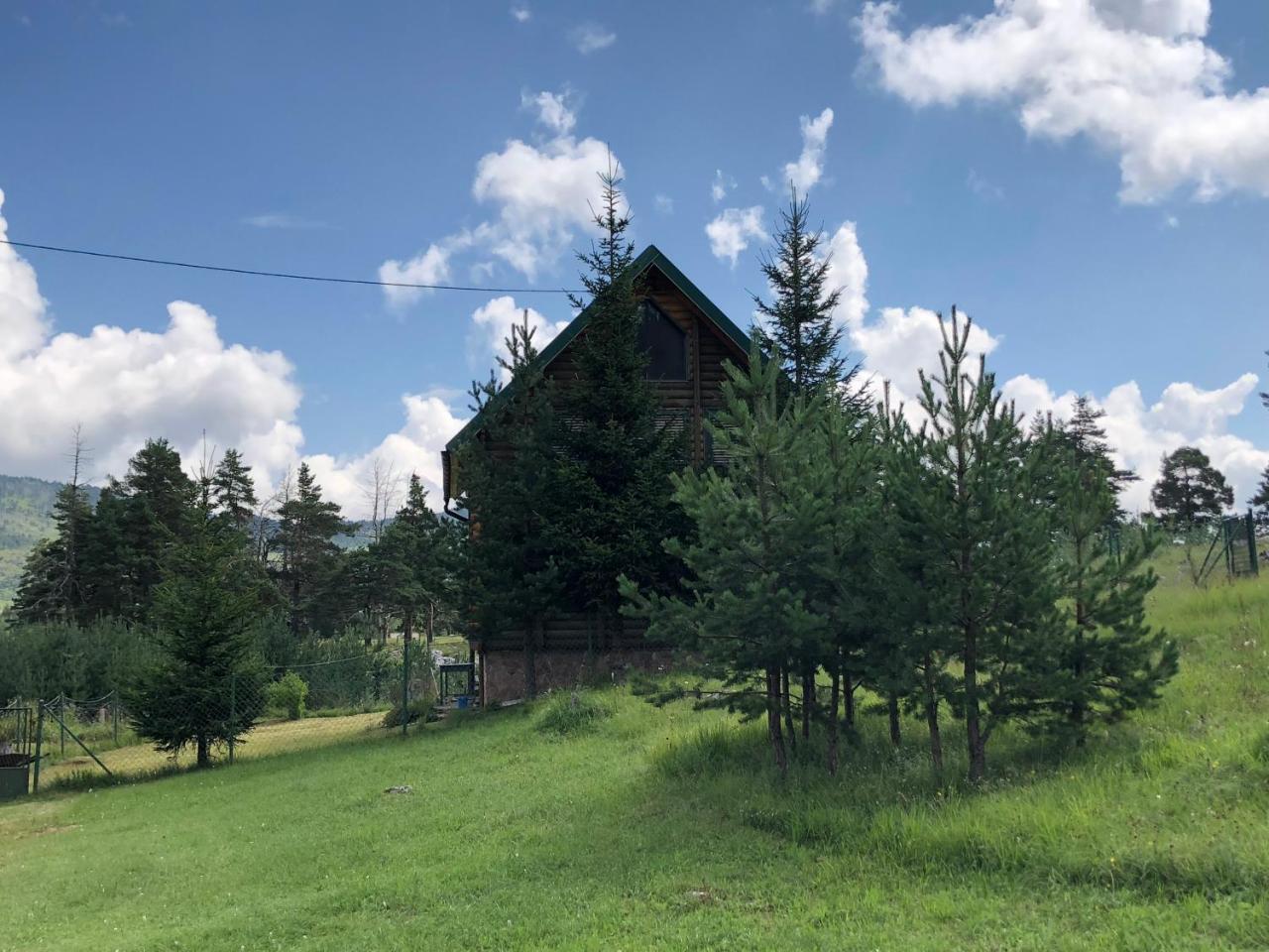 Kuca U Borju - House In Pines Apartment ชาเบลียค ภายนอก รูปภาพ